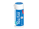 LOTTE XYLITOL GUM FRESH MINT FLAVOR (26.1g)