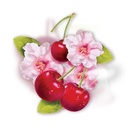 Palmolive® Naturals Calming Pleasure Body Wash(500ml)