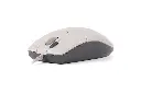 1402220718076344.webp