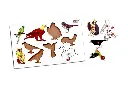 61A12u6w6UL._SX679_.webp