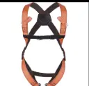Delta Plus Fall  Arrester Harness - 2 Anchorage Point (Back/Font )