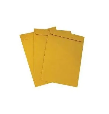 Apolo Envelope Legal (50pcs) (with Glue, White)