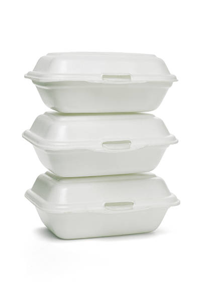 China Disposable Foam Lunch Box(10pcs)