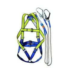 [HMSENASFBSHDL] Full Body Safety Harness with Double Lanyard