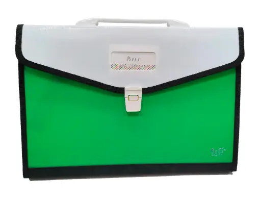 Bili 13 Pockets Expanding File With Handle