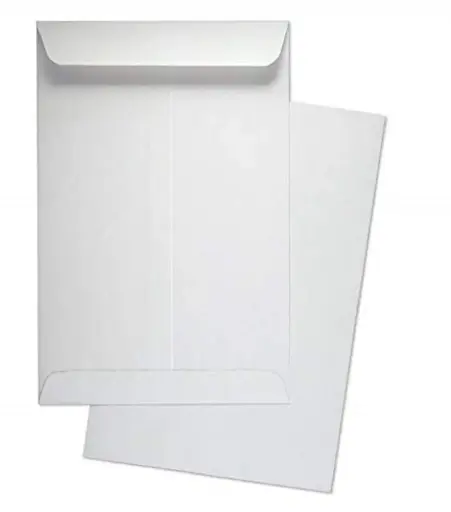 [HMAPLOENVA4WWGL100PCS] Apolo Envelope A4 White Without Glue (100pcs)