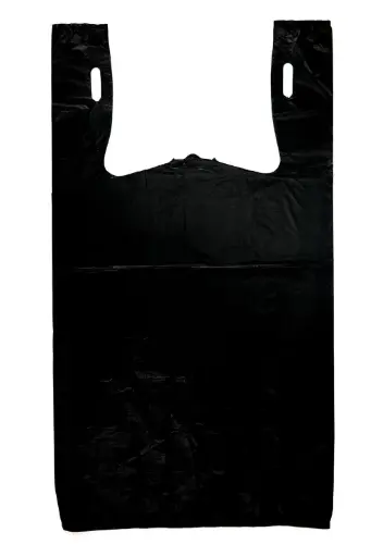[HMFNSPB6X14INCBK] Plastic Bag (6" x 14") Black with handle