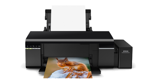 [HMOEPTEPL805] Epson L805 Printer