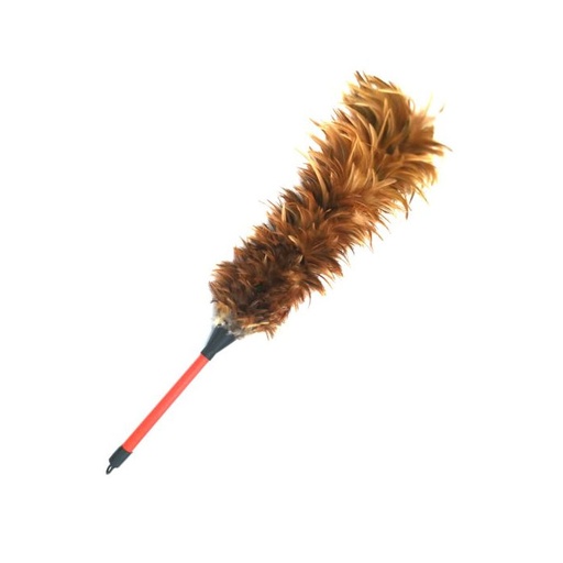 [HMHKNKFDCH] Feather Duster (China)